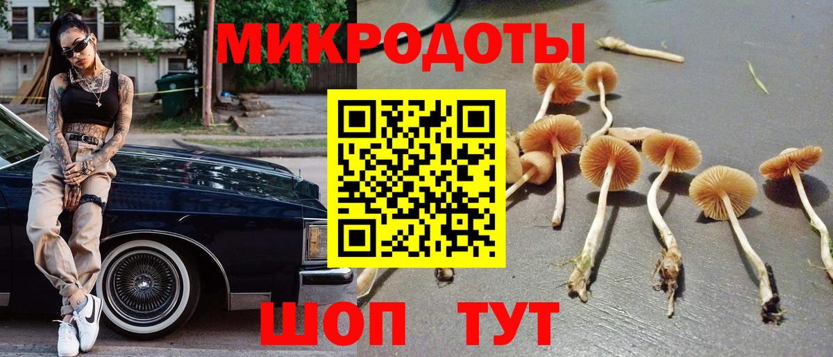 Кирово-Чепецк  Галлюциногенные грибы Magic Shrooms  Вход с VPN 