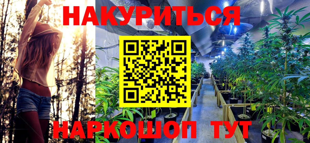 Шишки марихуана AK-47  Бошки Шишки Amnesia  Бошки марихуана тримм  Вход с VPN  Кирово-Чепецк 